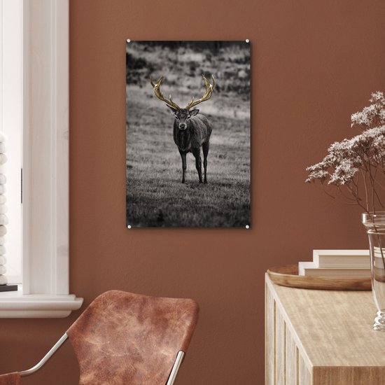 Peintures en plexiglas - Cerf - Or - Bois - 40x60 cm