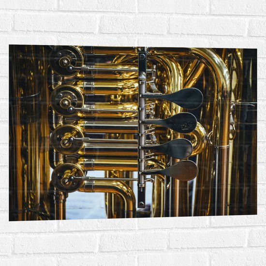 Muursticker - Knoppen van Gouden Trompet - 80x60 cm Foto op Muursticker