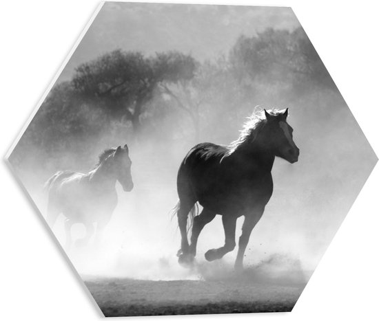 PVC Schuimplaat Hexagon - Galopperende Kudde Paarden langs Bosrand (Zwart- wit) - 40x34.8 cm Foto op Hexagon (Met Ophangsysteem)
