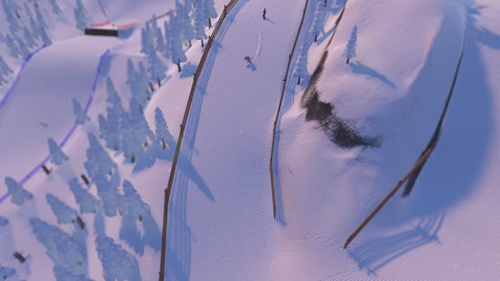 Een skiër die een besneeuwde baan afdaalt, geflankeerd door bomen en hekken.