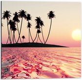 Dibond - Silhouet van Palmbomen op Onbewoond Eiland in de Oceaan bij Zonsondergang - 50x50 cm Foto op Aluminium (Wanddecoratie van metaal)