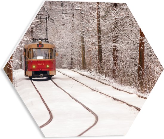 PVC Schuimplaat Hexagon - Rode Tram rijdend door Bos vol Bomen in de Winter - 40x34.8 cm Foto op Hexagon (Met Ophangsysteem)