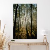 Canvas Schilderij Sunrise Forest
