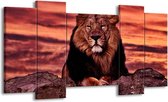 Peinture sur toile Lion | Violet, marron, noir | 120x65 5 Liège