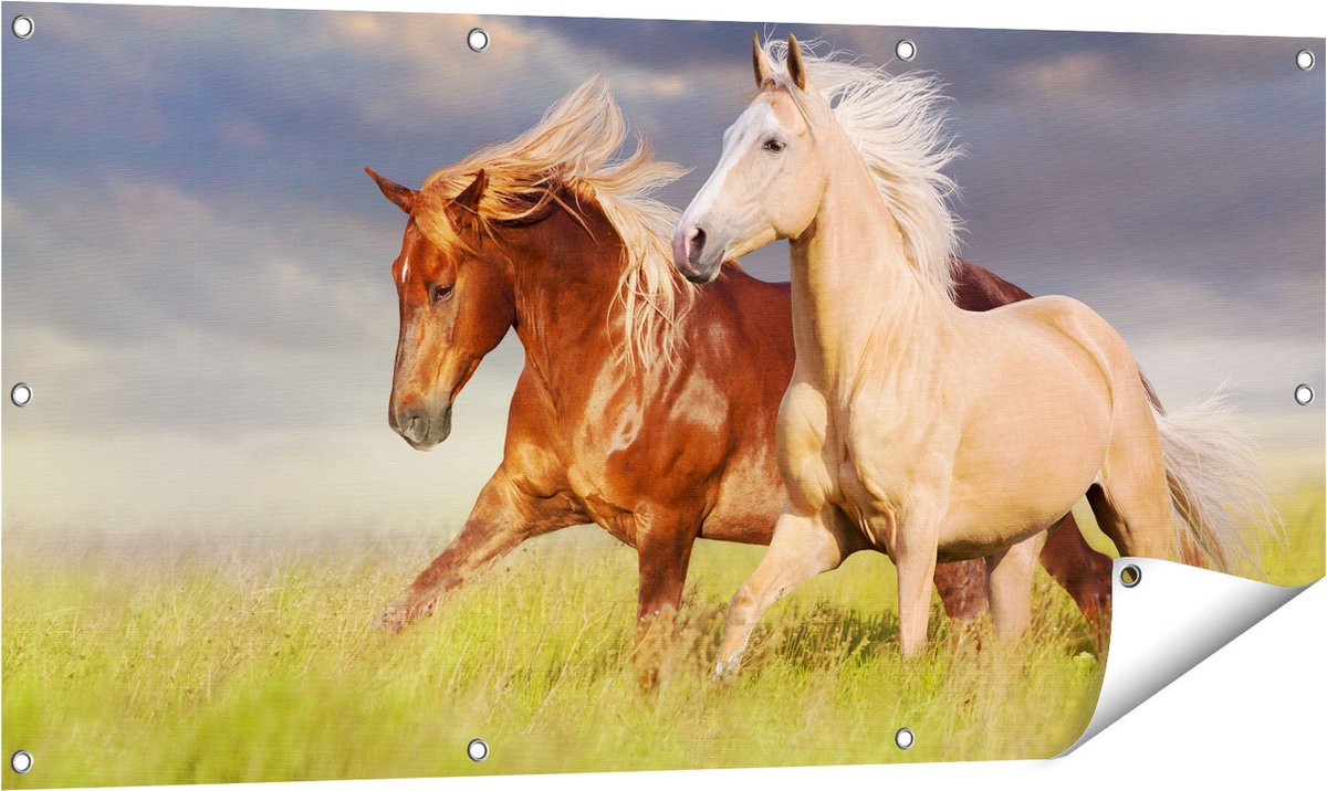 Gards Tuinposter Bruin en Wit Paard in de Wei - 120x60 cm - Tuindoek - Tuindecoratie - Wanddecoratie buiten - Tuinschilderij Multikleur