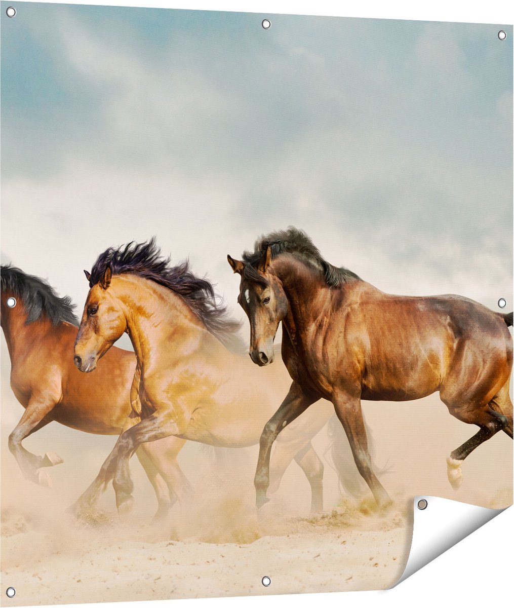 Gards Tuinposter Drie Bruine Paarden - 100x100 cm - Tuindoek - Tuindecoratie - Wanddecoratie buiten - Tuinschilderij Multikleur
