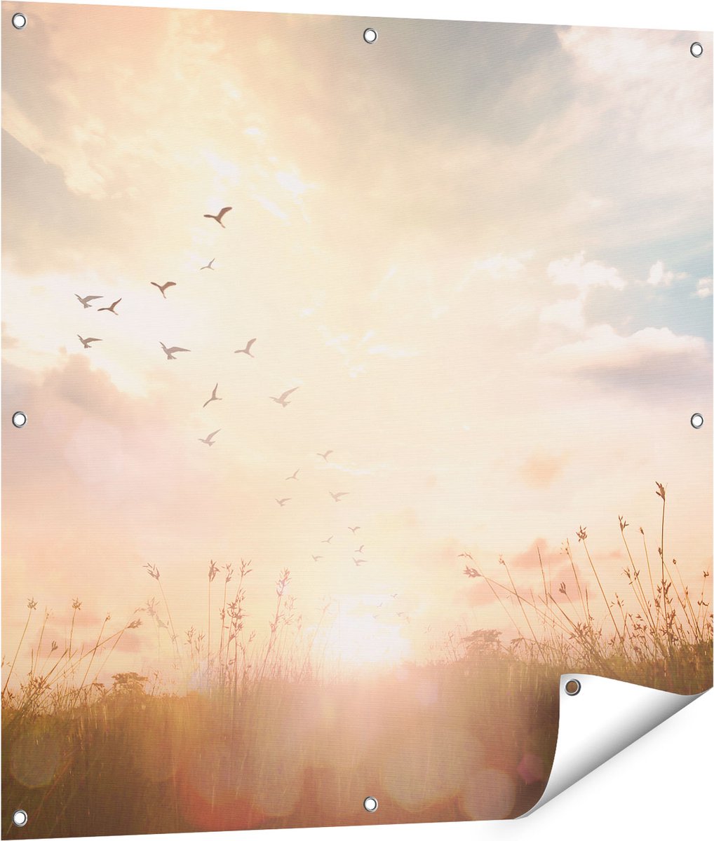 Gards Tuinposter Silhouet Vogels tijdens Zonsopkomst - 90x90 cm - Tuindoek - Tuindecoratie - Wanddecoratie buiten - Tuinschilderij Multikleur