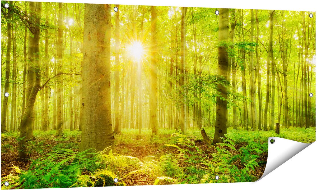 Gards Tuinposter Groen Bos met Schijnende Zonnestralen - 140x70 cm - Tuindoek - Tuindecoratie - Wanddecoratie buiten - Tuinschilderij Multikleur
