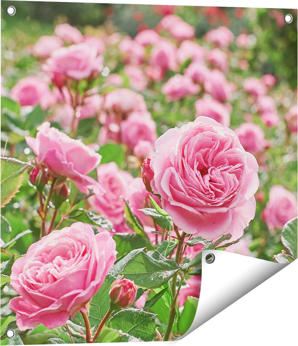 Gards Tuinposter Roze Rozen Bloemenveld - 60x60 cm - Tuindoek - Tuindecoratie - Wanddecoratie buiten - Tuinschilderij Multikleur
