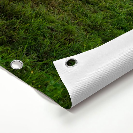 Gards Poster de jardin Kosmos Champ de fleurs avec allée - Fleurs - 100x80 cm - Toile de jardin - Décoration de jardin - Décoration murale extérieure - Peinture de jardin