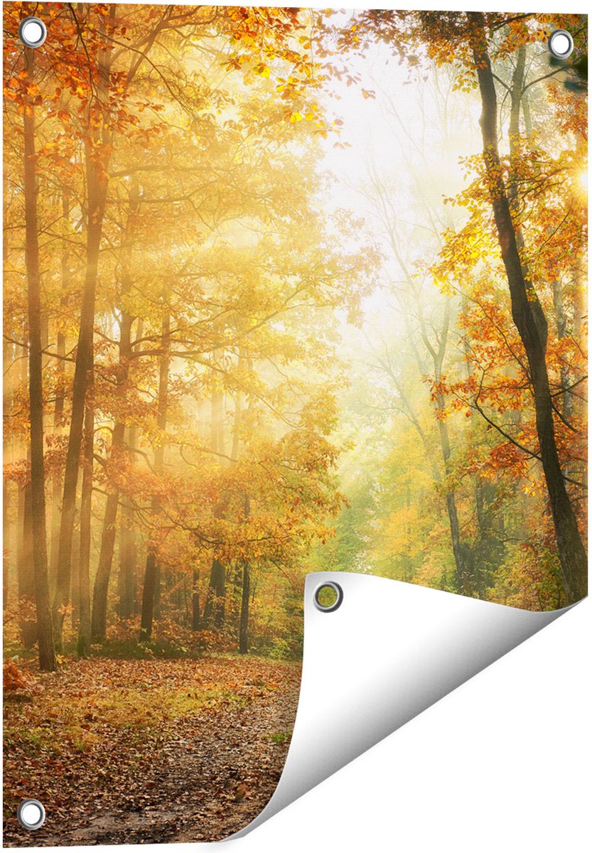 Gards Tuinposter Herfstbos met Zonneschijn - 40x50 cm - Tuindoek - Tuindecoratie - Wanddecoratie buiten - Tuinschilderij Multikleur