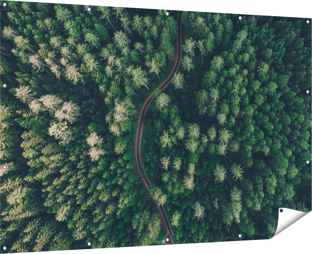 Gards Tuinposter Weg Door Bos met Bomen - Bovenaanzicht - 180x120 cm - Tuindoek - Tuindecoratie - Wanddecoratie buiten - Tuinschilderij Multikleur