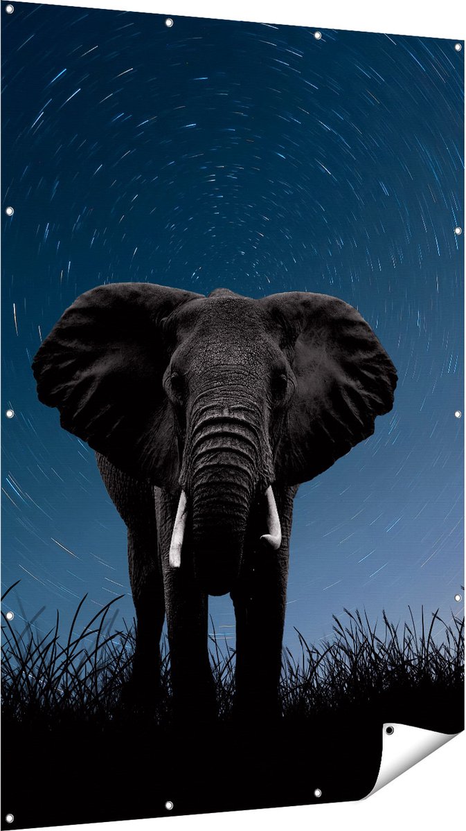 Gards Tuinposter Olifant Omringd met Sterren - 120x180 cm - Tuindoek - Tuindecoratie - Wanddecoratie buiten - Tuinschilderij Multikleur