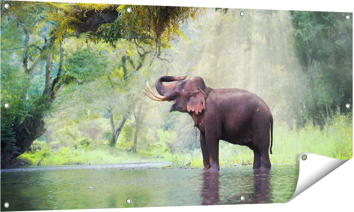Gards Tuinposter Vrolijke Olifant in het Water - 140x70 cm - Tuindoek - Tuindecoratie - Wanddecoratie buiten - Tuinschilderij Multikleur