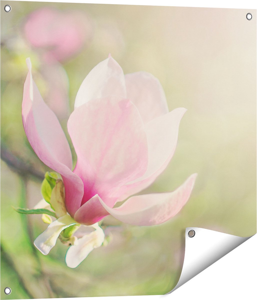 Gards Tuinposter Roze Magnolia Bloem - 70x70 cm - Tuindoek - Tuindecoratie - Wanddecoratie buiten - Tuinschilderij Multikleur