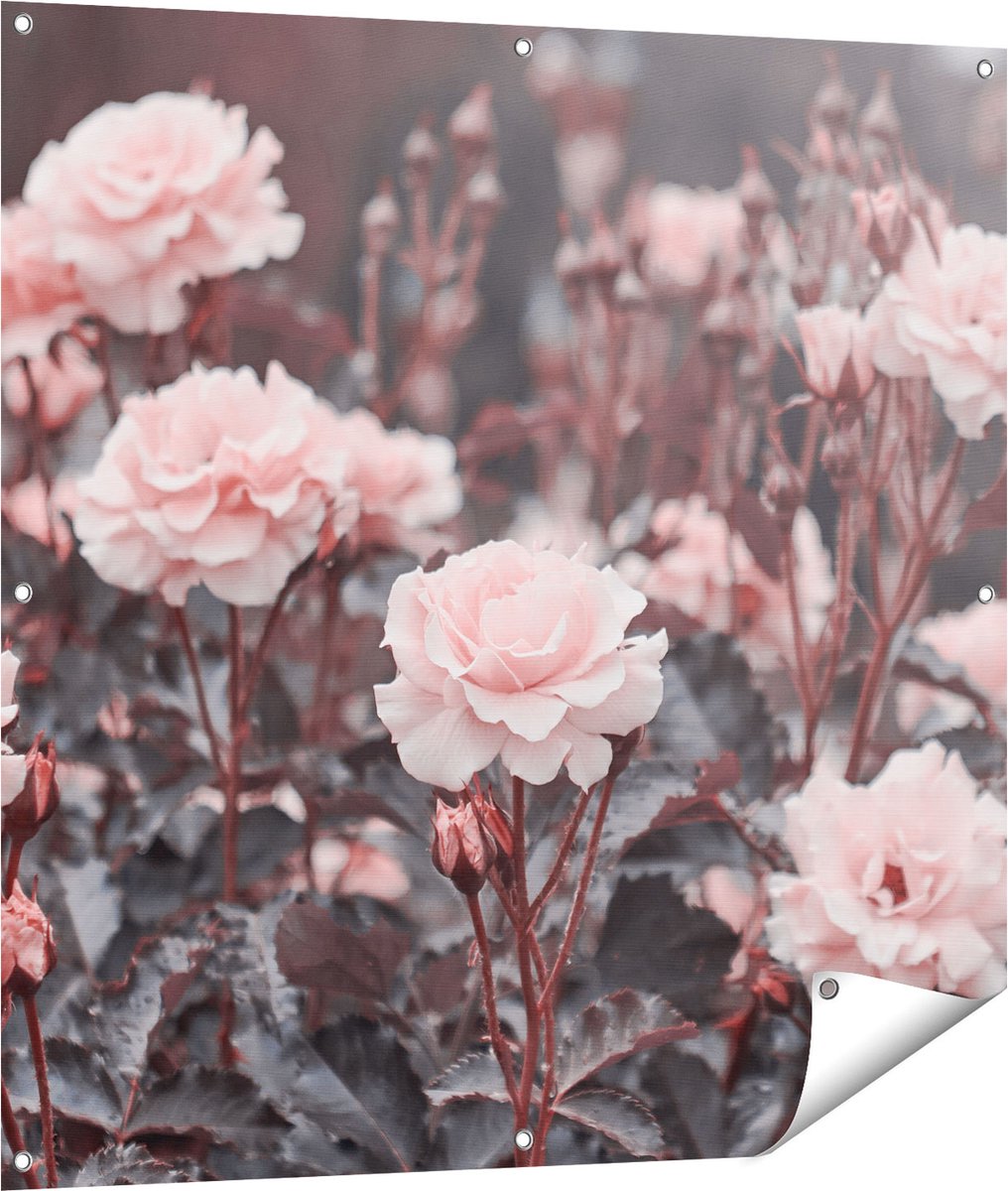 Gards Tuinposter Roze Rozen Bloemen - 100x100 cm - Tuindoek - Tuindecoratie - Wanddecoratie buiten - Tuinschilderij Multikleur
