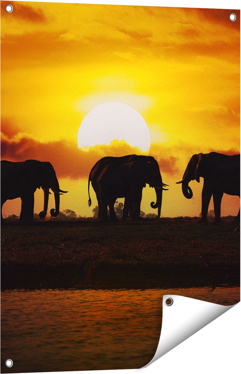 Gards Tuinposter Silhouet Olifanten tijdens Zonsondergang - 60x80 cm - Tuindoek - Tuindecoratie - Wanddecoratie buiten - Tuinschilderij Multikleur
