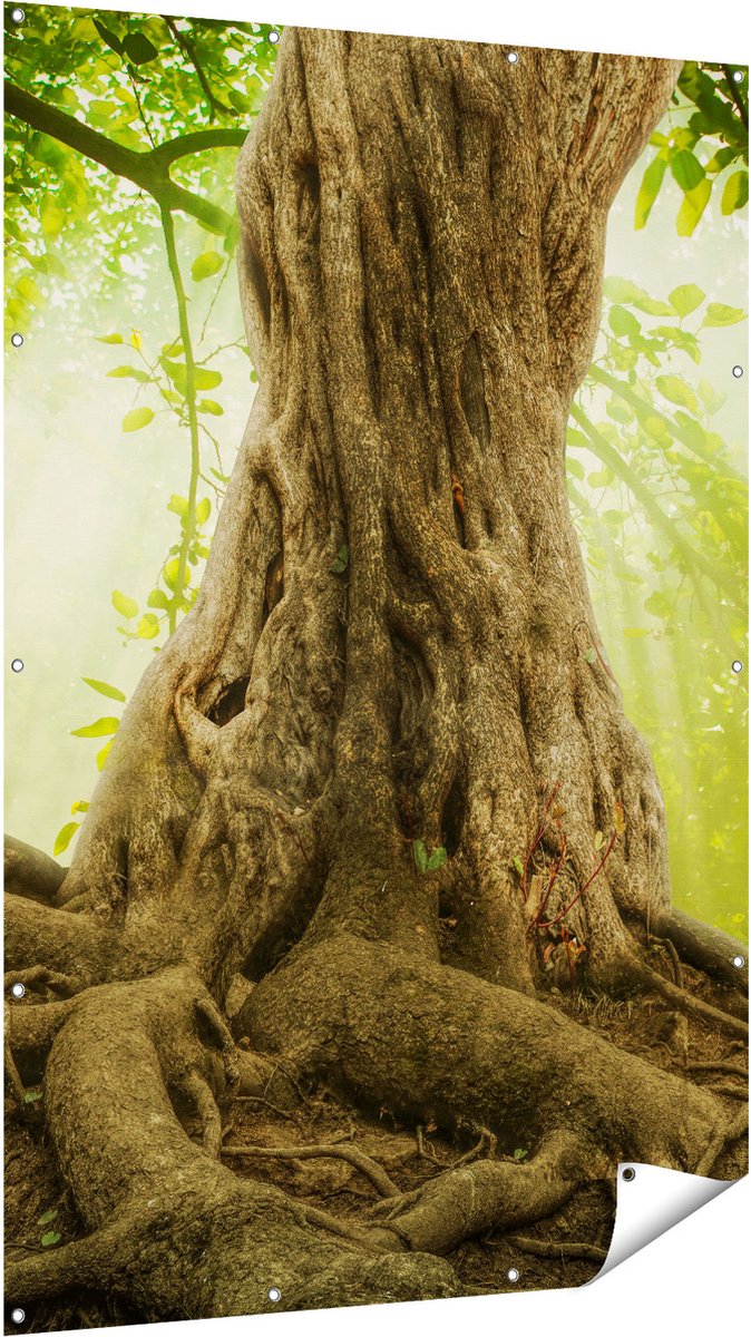 Gards Tuinposter Grote Boom in het Bos met Wortels - 120x180 cm - Tuindoek - Tuindecoratie - Wanddecoratie buiten - Tuinschilderij Multikleur