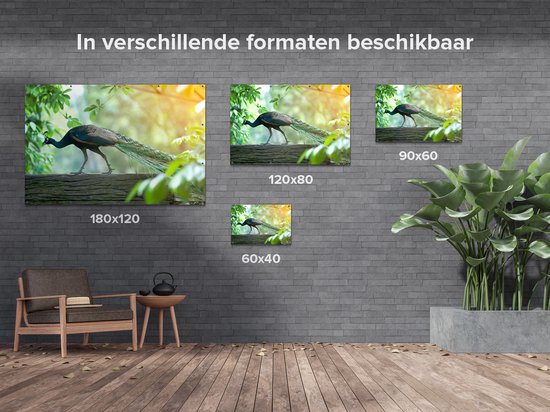 Affiche de jardin du Gards Paon marchant sur une branche dans la nature - 150x100 cm - Toile de jardin - Décoration de jardin - Décoration murale extérieur - Tableau de jardin