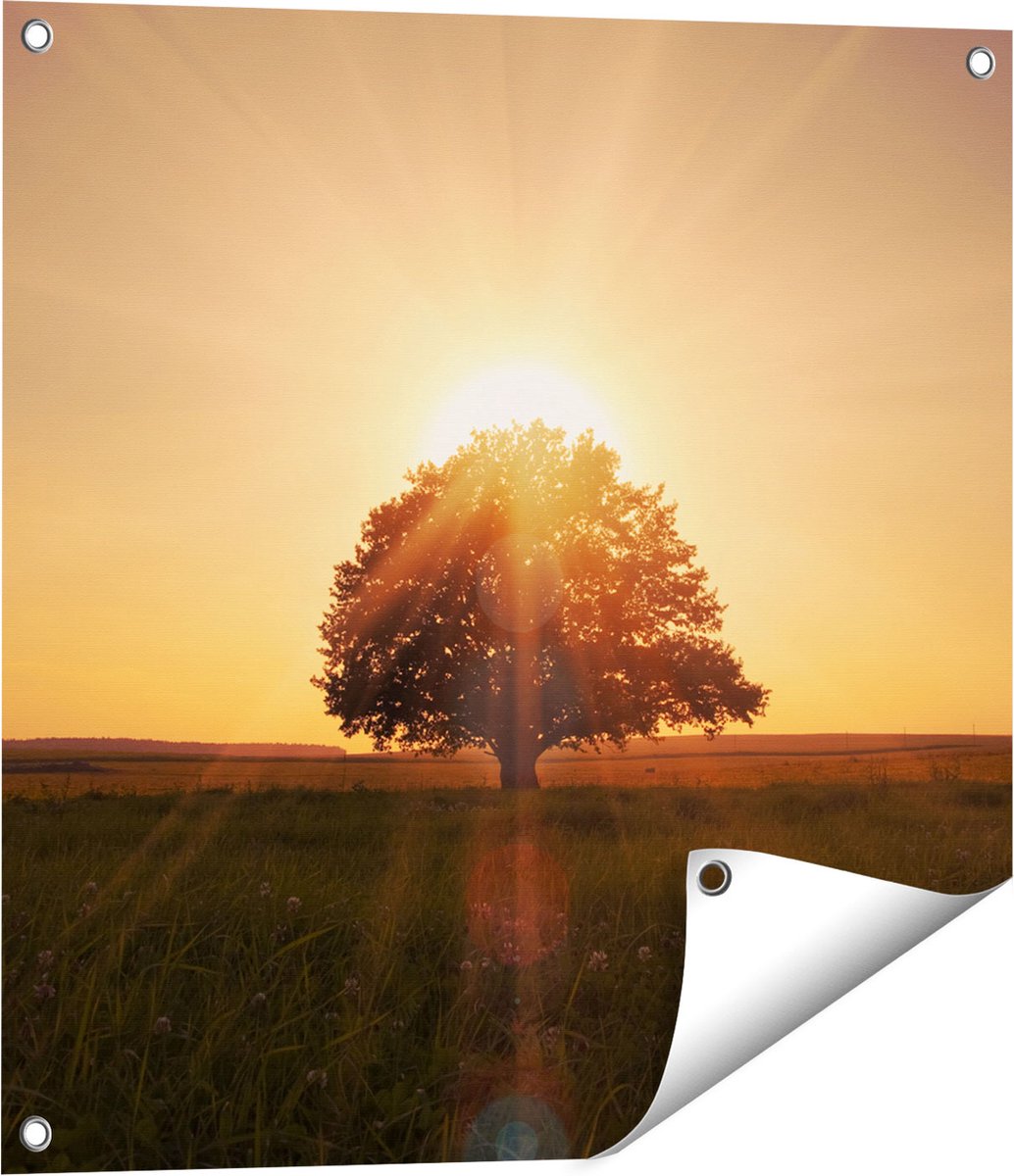 Gards Tuinposter Zonsondergang Achter een Grote Boom - 60x60 cm - Tuindoek - Tuindecoratie - Wanddecoratie buiten - Tuinschilderij Multikleur