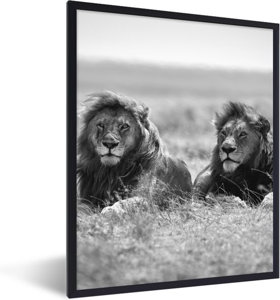 Posters noir et blanc - Cadre - Lion - Animaux - Savane - Safari - Photo  sous cadre -... | bol