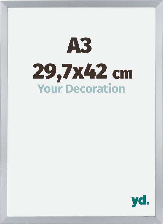 Votre Décoration Cadre Photo Catane - 29,7x42cm - Argent - A3