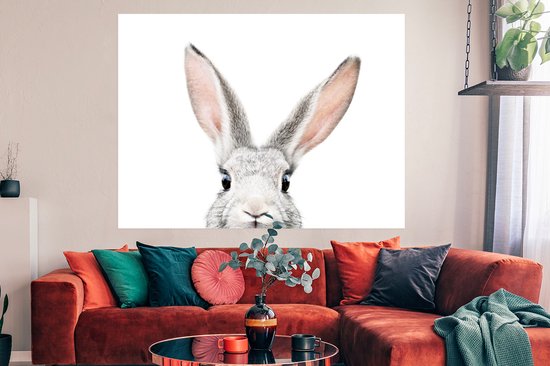 Poster Lapin - Animaux - Nature - Wit - 160x120 cm XXL