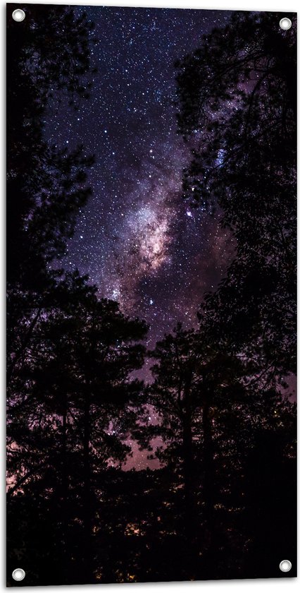 Tuinposter – Heldere Galaxy Hemel Tussen De Boomtoppen Van Het Bos 50x100 Cm Foto Op Tuinposter