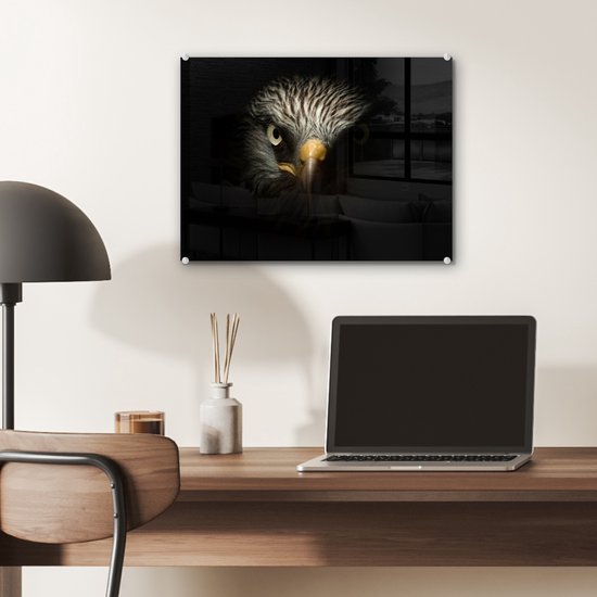 MuchoWow® Peinture sur verre 40x30 cm - Peinture sur verre acrylique - Vogel - Aigle - Rapaces - Oeil - Bec - Lumière - Photo sur verre - Peintures