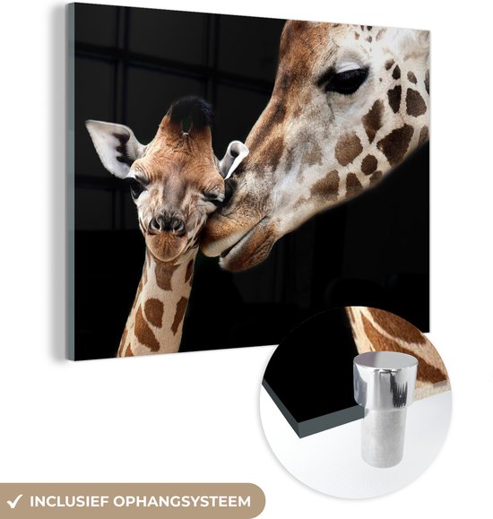 Glasschilderij - Foto op glas - Acrylglas - Giraffe - Zwart - Dieren - Muurdecoratie - 120x90 cm - Schilderij glas - Woonkamer - Wanddecoratie