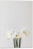 PVC Schuimplaat- Zevental Witte Bloemetjes tegen Witte Achtergrond - 40x60 cm Foto op PVC Schuimplaat