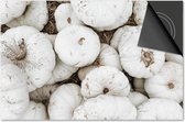 Inductie beschermer 60x52 - afdekplaat inductie mat - Dietrix Kookplaat beschermer - Base - Herfst - Witte kalebassen