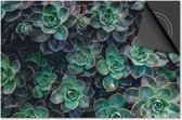 Protection induction 60x60 - plaque de recouvrement tapis induction - Protection plaque de cuisson Dietrix - Socle - Fleurs et Plantes - Plantes succulentes