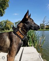Halsband Gepersonaliseerd eigen naam - Beau - Honden halsband Geborduurd - Tactical - Zwart - Hals 45-75 CM - geschikt voor iedere hondenriem - voor middel en grote honden - Best getest 2022 - 450KG Anti trek test - One Size