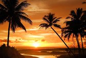 Fotobehang Beach Tropical Sunset Palms | XXXL - 416cm x 254cm | 130g/m2 Vlies