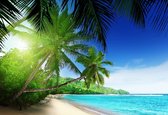 Fotobehang View Paradise Beach Palms Tropical | PANORAMIC - 250cm x 104cm | 130g/m2 Vlies