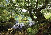 Fotobehang Tree Lake Nature | XXL - 312cm x 219cm | 130g/m2 Vlies