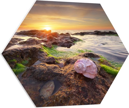 PVC Schuimplaat Hexagon - Zeeschelpen op Rotsen bij het Water tijdens Zonsondergang - 70x60.9 cm Foto op Hexagon (Met Ophangsysteem)