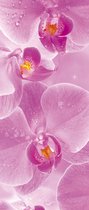 Fotobehang Flowers Orchids | DEUR - 211cm x 90cm | 130g/m2 Vlies