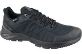Reebok Astroride Trail GTX 2.0  DV5956, Mannen, Zwart, Hardloopschoenen maat: 41 EU
