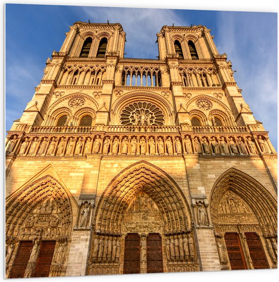 WallClassics - Panneau en mousse PVC - Vue de face de Notre-Dame de Paris - Photo 100x100 cm sur panneau en mousse PVC (avec système d'accrochage)