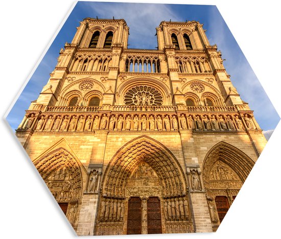 WallClassics - PVC Schuimplaat Hexagon - Vooraanzicht van de Notre Dame in Parijs - 40x34.8 cm Foto op Hexagon (Met Ophangsysteem)