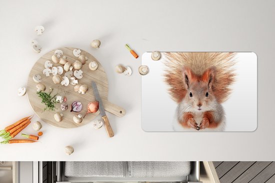 Set de Table - Napperons en Plastique - Écureuil - Animaux - Nature - Oranje - Wit - 45x30 cm - 6 pièces - Résistant à la Chaleur - Antidérapant - Coussinet - Amovible