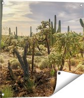 Gards Tuinposter Cactus Planten in het Wild - 60x60 cm - Tuindoek - Tuindecoratie - Wanddecoratie buiten - Tuinschilderij