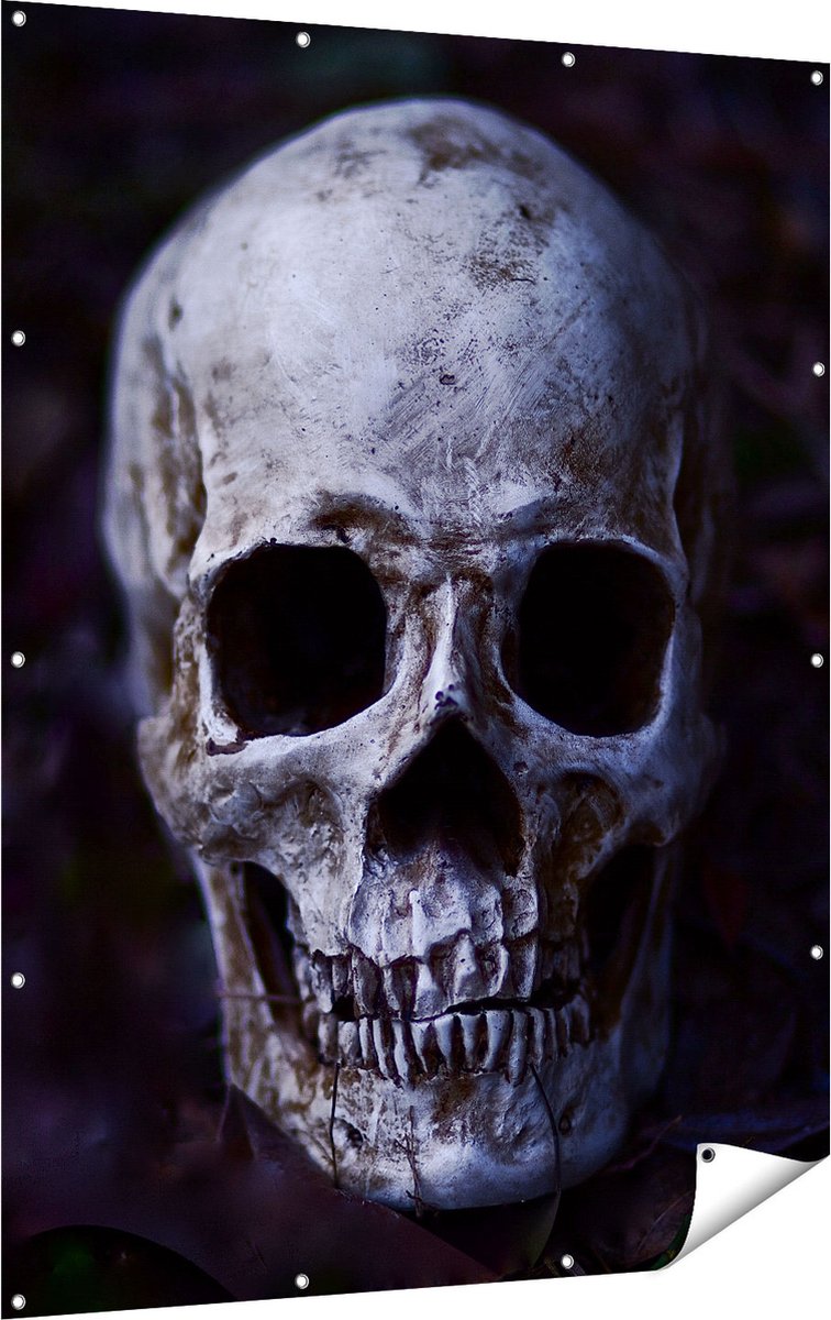 Gards Tuinposter Schedel - Doodshoofd - 120x160 cm - Tuindoek - Tuindecoratie - Wanddecoratie buiten - Tuinschilderij Multikleur
