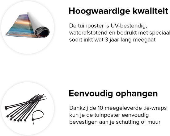 Affiche de jardin Gards Arc-en-ciel dans l' Water à la plage - 110x110 cm - Toile de jardin - Décoration de jardin - Décoration murale extérieur - Tableau de jardin