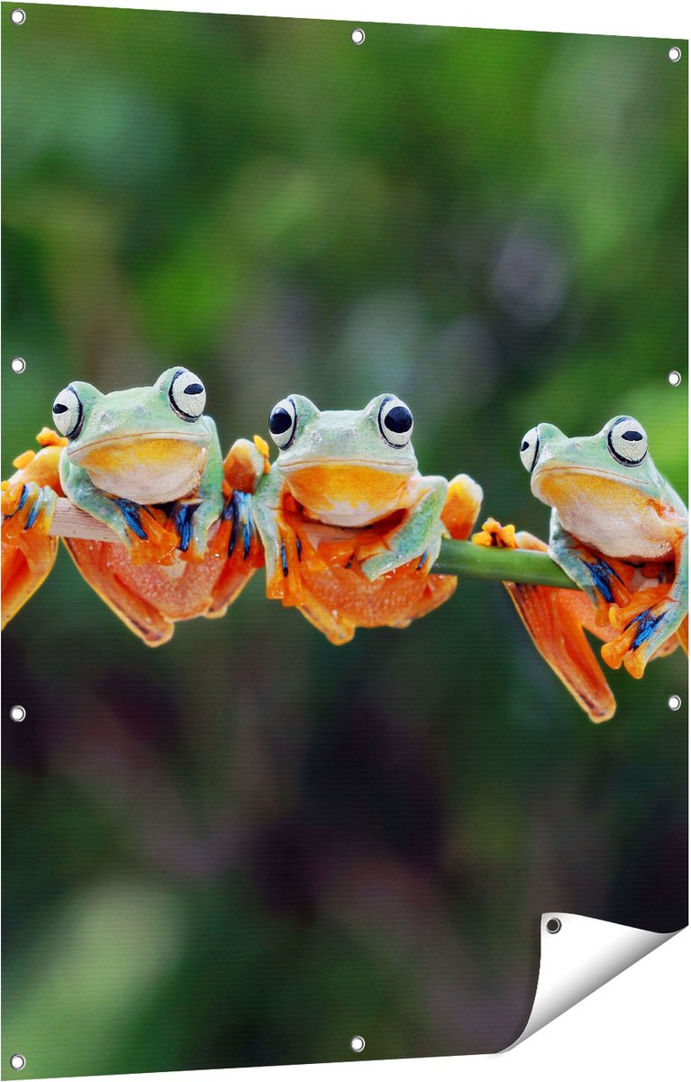 Gards Tuinposter Groep Kikkers op een Tak - 90x120 cm - Tuindoek - Tuindecoratie - Wanddecoratie buiten - Tuinschilderij Multikleur