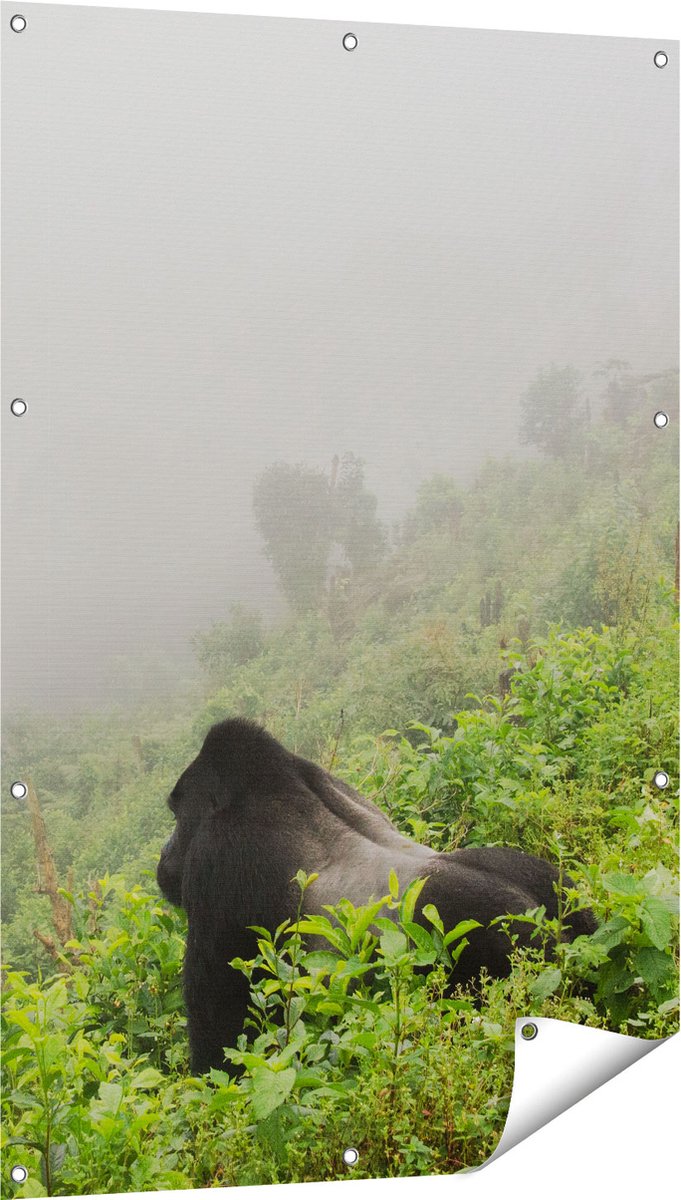 Gards Tuinposter Gorilla in het Woud tijdens de Mist - 80x120 cm - Tuindoek - Tuindecoratie - Wanddecoratie buiten - Tuinschilderij Multikleur