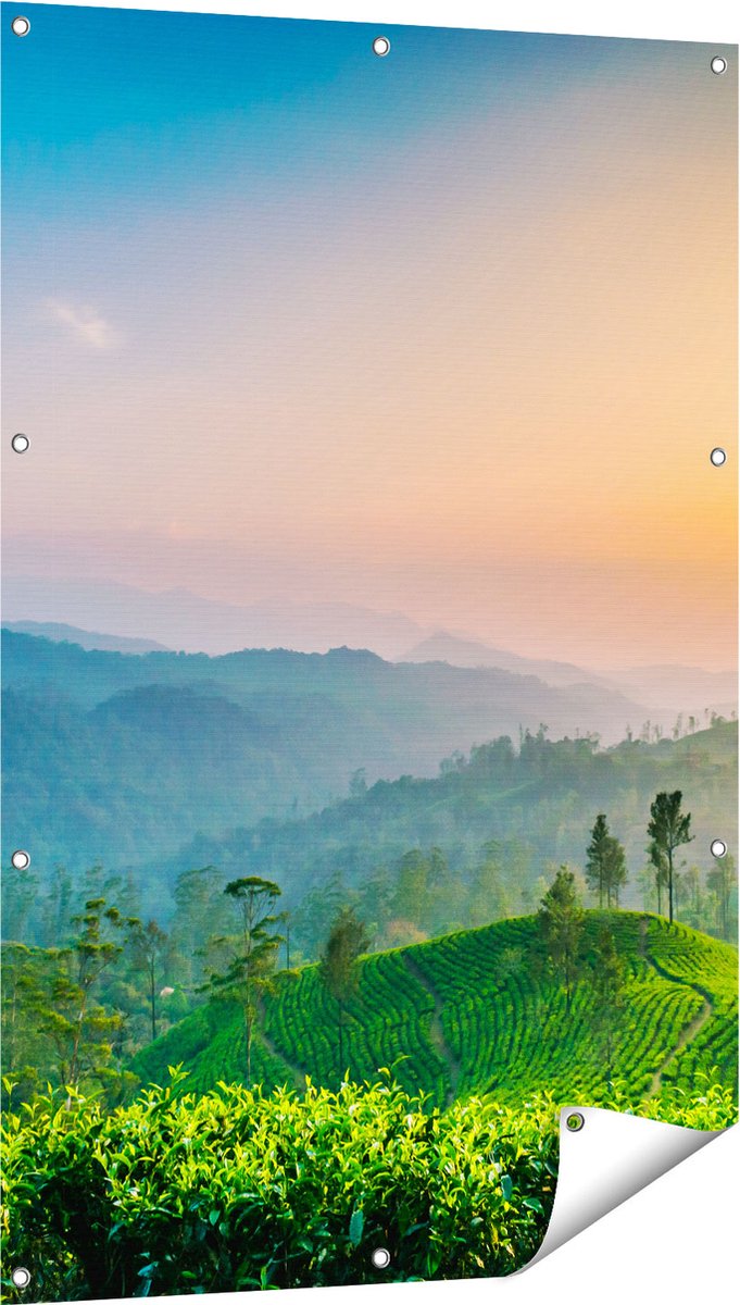 Gards Tuinposter Zonsondergang op een Thee Plantage - 80x120 cm - Tuindoek - Tuindecoratie - Wanddecoratie buiten - Tuinschilderij Multikleur