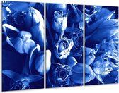 Glasschilderij Bloemen - Blauw, Wit - 120x80cm 3Luik - Foto Op Glas - Geen Acrylglas Schilderij - GroepArt 6000+ Glas Art Collectie - Maatwerk Mogelijk